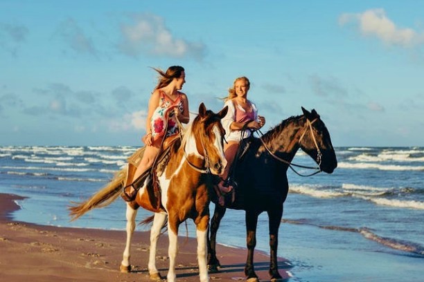 a person riding a horse on a beach